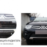 Защита радиатора "Standart" Ford C-MAX (2010-2015) чёрная купить недорого с доставкой в Электросталь
